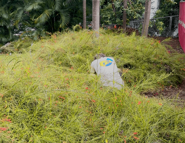 Searching wrong bush